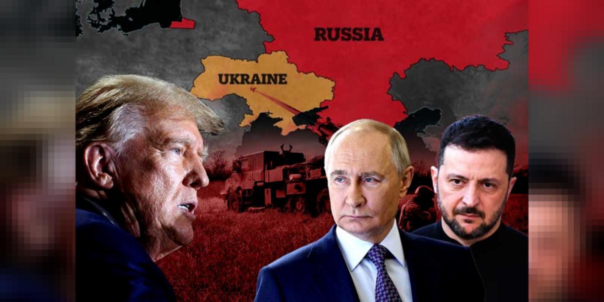 Ijrochi kotib porno filmlar onlayn Porno chochqa onlayn ayolni sikadi