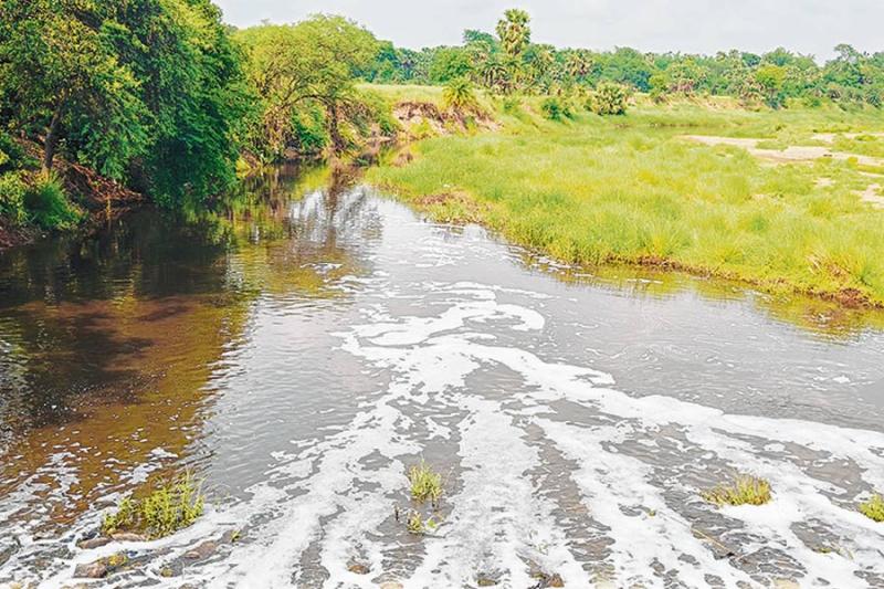 ফেনায় ঢাকা কোপাই নদী! জলদূষণের কবলে শান্তিনিকেতনের একাধিক গ্রাম