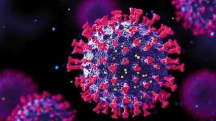 दिल्ली: 34 ओमिक्रॉन मामलों में से 33 ने टीके की दोनों खुराकें ले रखी थीं