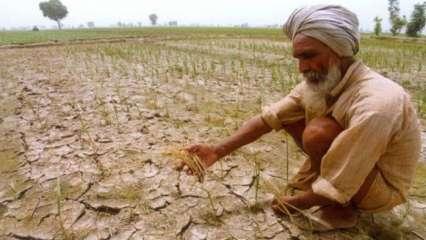किसानों की आमदनीः सरकारी आंकड़ों में मौसम गुलाबी, लेकिन हकीकत कुछ और