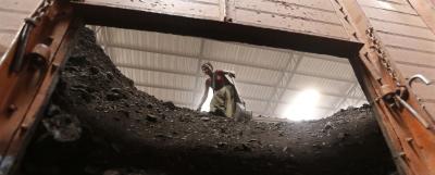 A worker unloads coal from a truck inside a coal yard at Saroda village in the western Indian state of Gujarat July 5, 2014. Photo: Reuters/Amit Dave