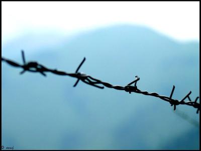Representative image of barbed wire in Kashmir. Photo: Anuj Gupta/Flickr (CC BY-NC 2.0 DEED)
