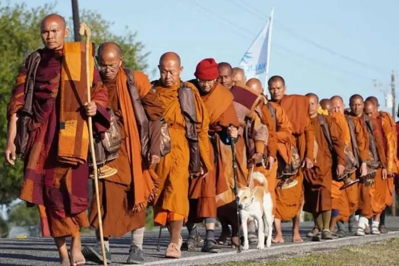 শান্তির বার্তা দিতে আমেরিকার পথে হাঁটছেন ১৯ বৌদ্ধ ভিক্ষু, সঙ্গী কলকাতার পথকুুকুর অলকা | sangbadpratidin