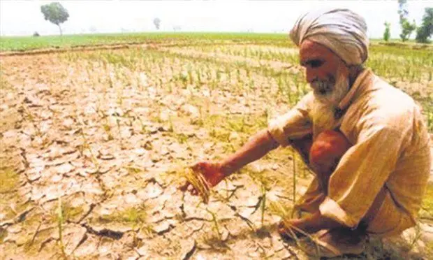 Drought relief: ಕೇಂದ್ರದ ಬರ ಪರಿಹಾರಕ್ಕೆ ಕಾದು ಕುಳಿತ ರೈತರು | udayavani